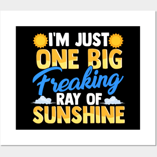 I'm Just One Big Freaking Ray Of Sunshine Posters and Art